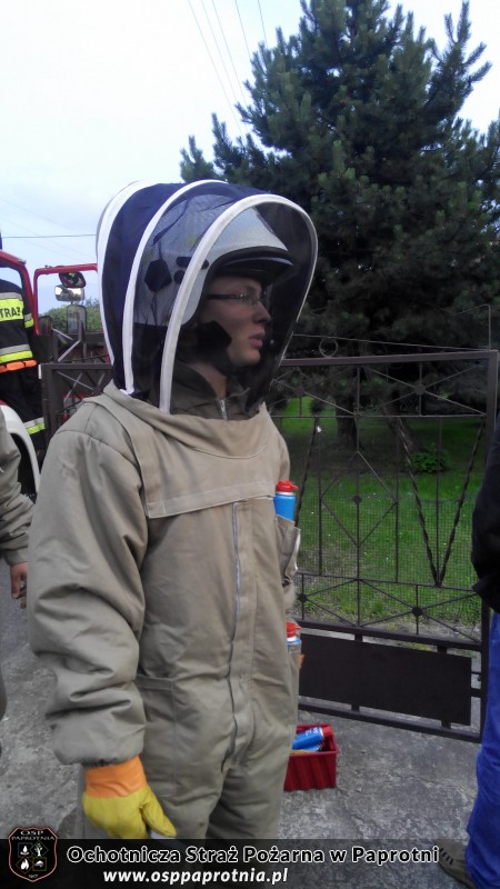 Dwa wyjazdy do gniazda os