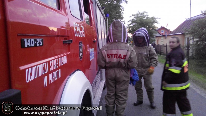 Dwa wyjazdy do gniazda os