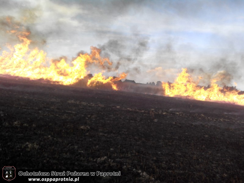 Pożar zboża w Pawłowicach