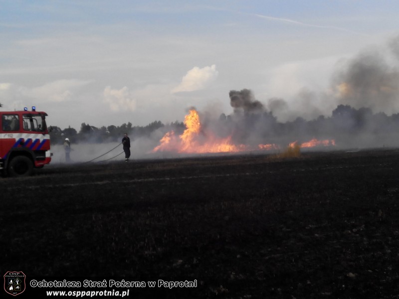 Pożar zboża w Pawłowicach