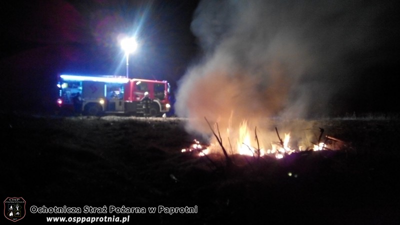 Pożar trawy Gnatowice 