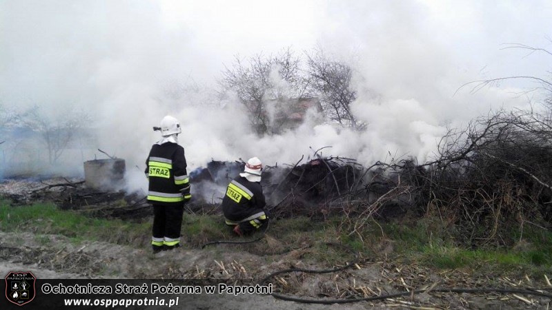  Pożar gałęzi w Paprotni 