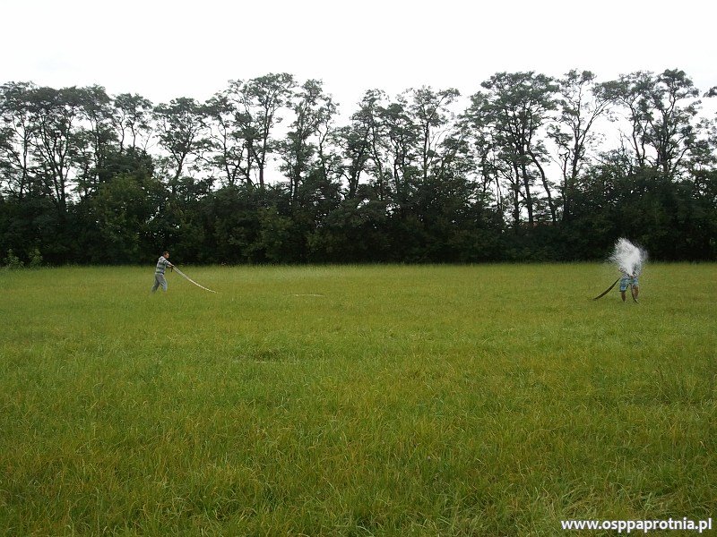 Trening przed zawodami