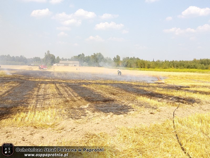  Pożar słomy Gnatowie Nowe