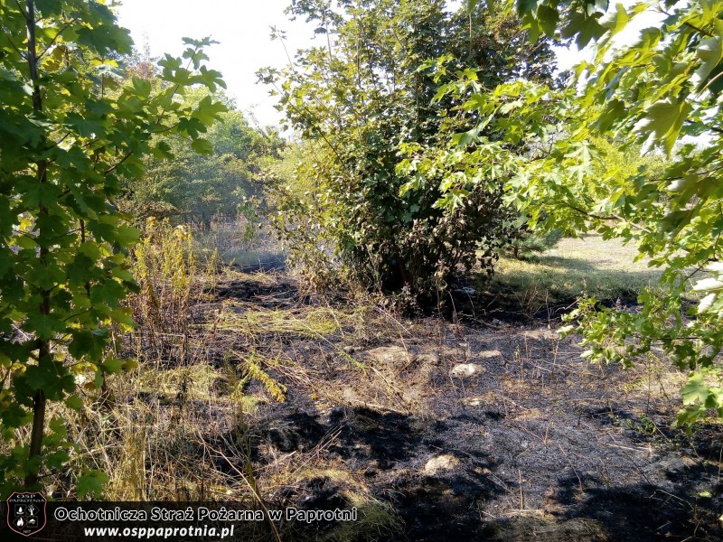  Pożar w Czerwonka Parcela 