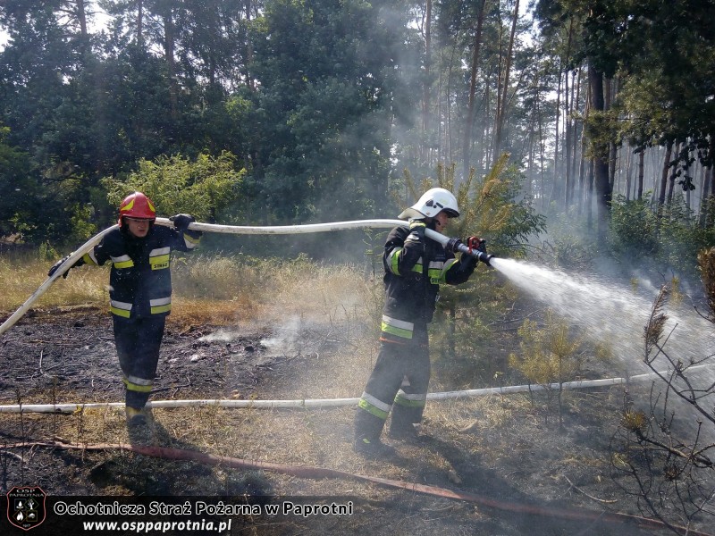 Pożar poszycia leśnego w miejscowości Gawłowie