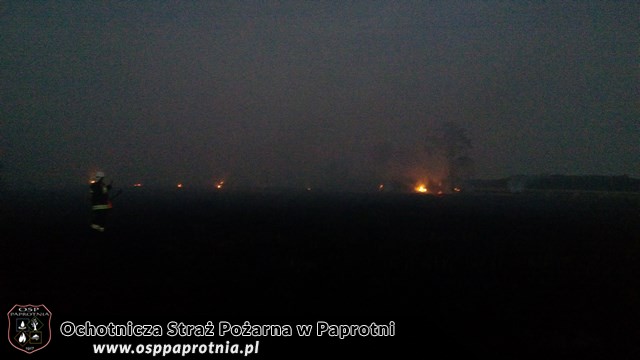 Pożar suchych traw i trzcinowiskw miejscowośći Famułki Brochowskie