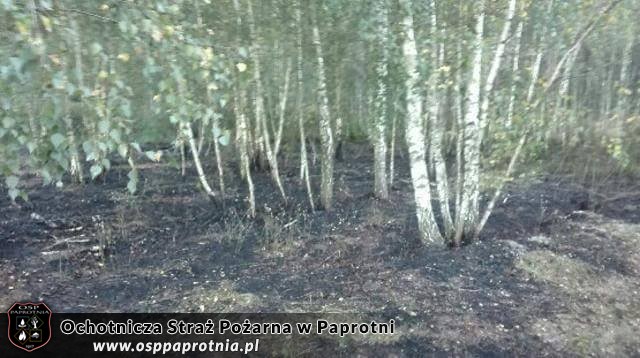 Pozar w Gawartowej Woli