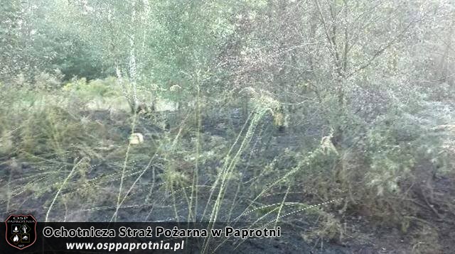 Pozar w Gawartowej Woli