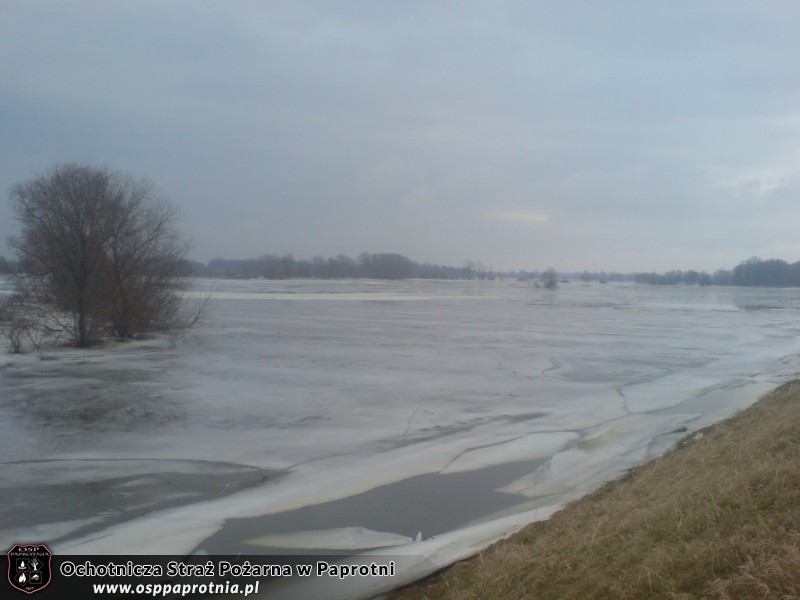 Umocnienie wałów w Kamionie