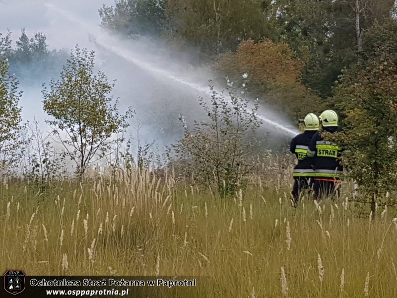 Ćwiczenia „Zalew 2016”na zbiorniku wodnym w Sochaczewie.