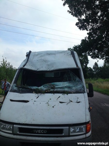 Przewrócone drzewo w Masznie