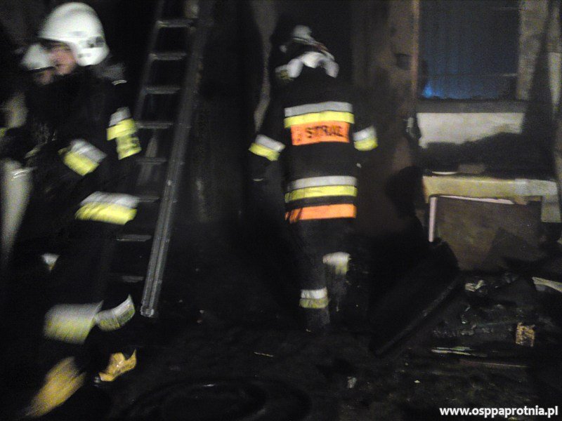 Pożar budynku gospodarczego w Ludwikowie