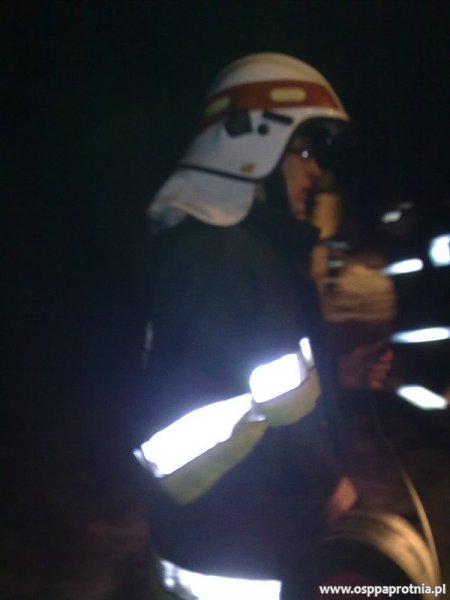 Pożar budynku gospodarczego w Ludwikowie