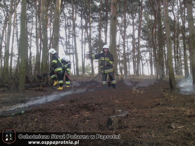 3 Pożary na terenie gminy