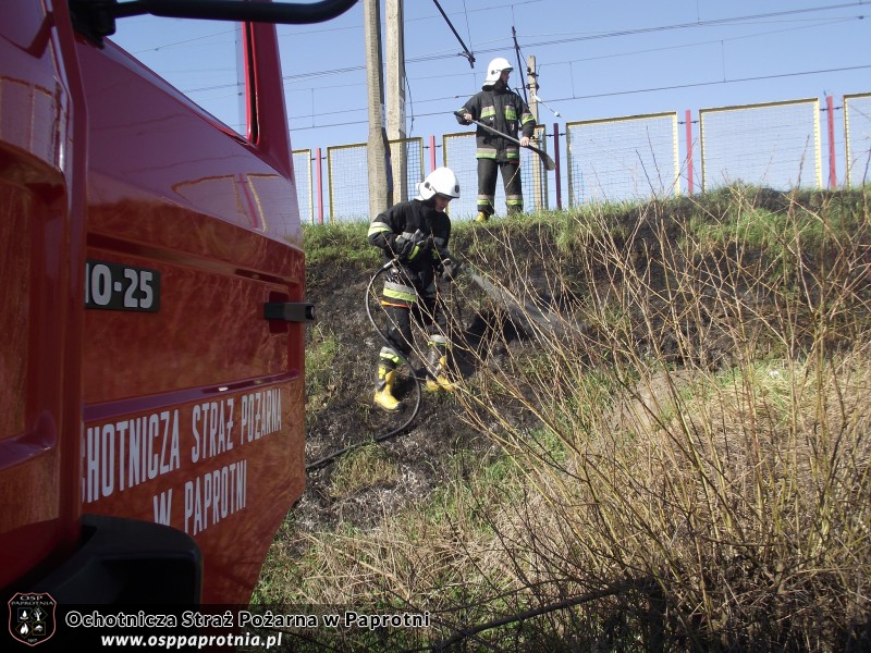 Pożar trawy przy stacji PKP Seroki