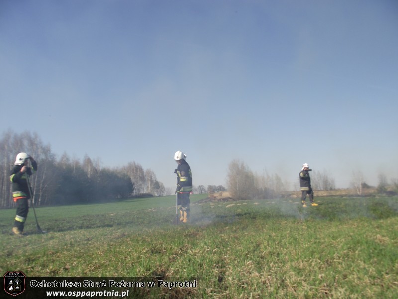 Pożar trawy Nowe Gnatowice
