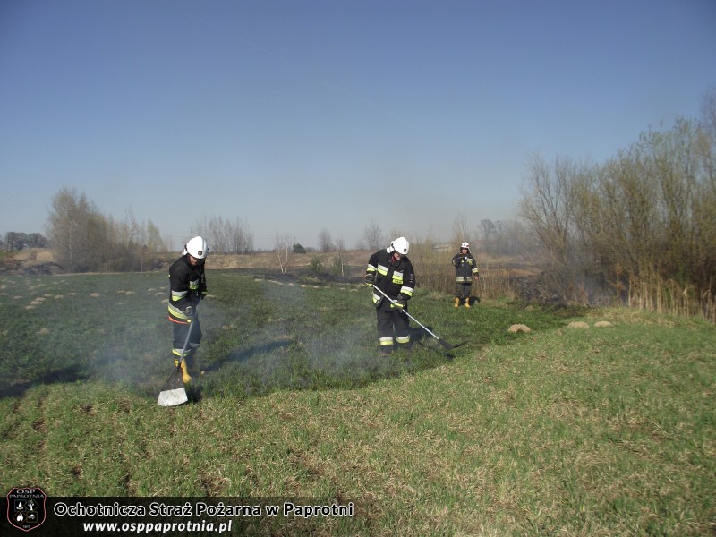Pożar trawy Nowe Gnatowice