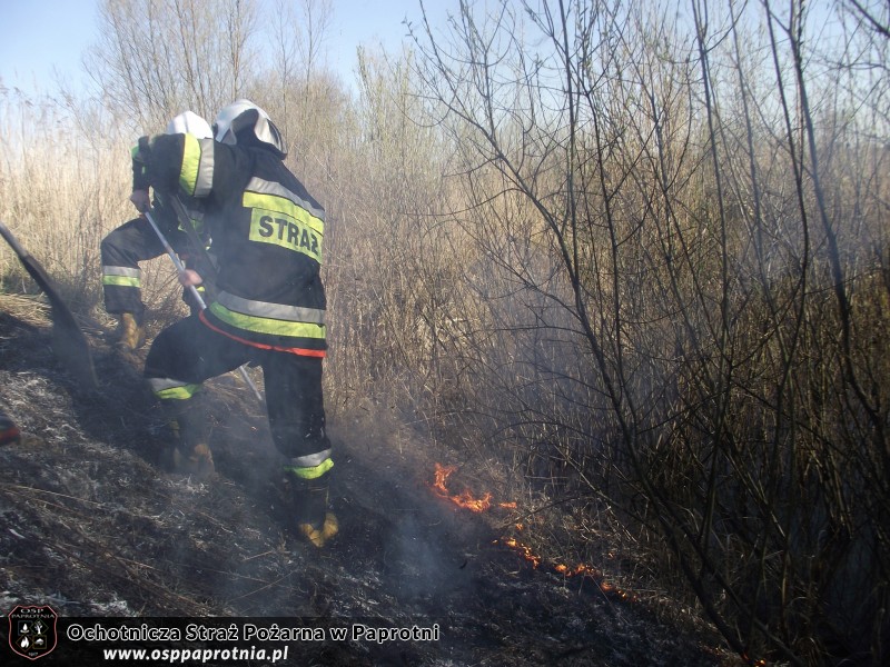 Pożar trawy Nowe Gnatowice