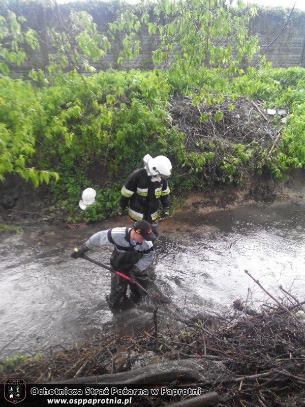 Udrożnianie rzeki w miejscowosci Serokii